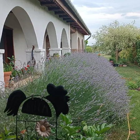 アパート Negra Vendeghaz