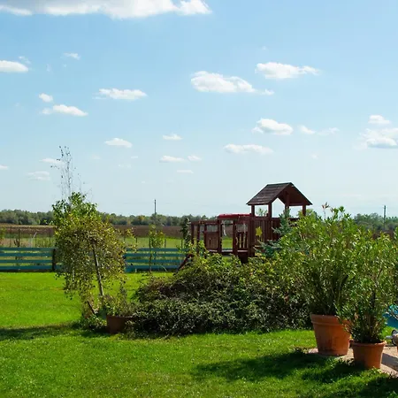 Negra Vendeghaz Daire