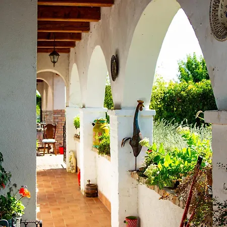 Negra Vendeghaz アパート *