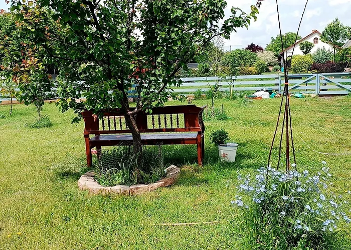 Negra * Balatonfőkajár